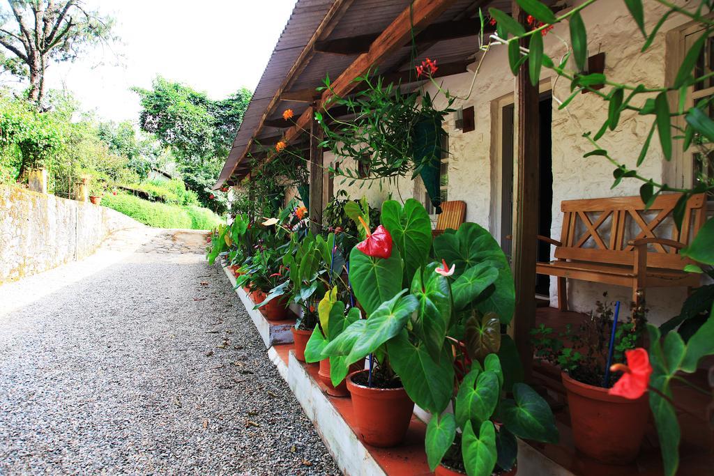 Thekkady Kalarickal Heritage Bungalow Vandanmedu Luaran gambar