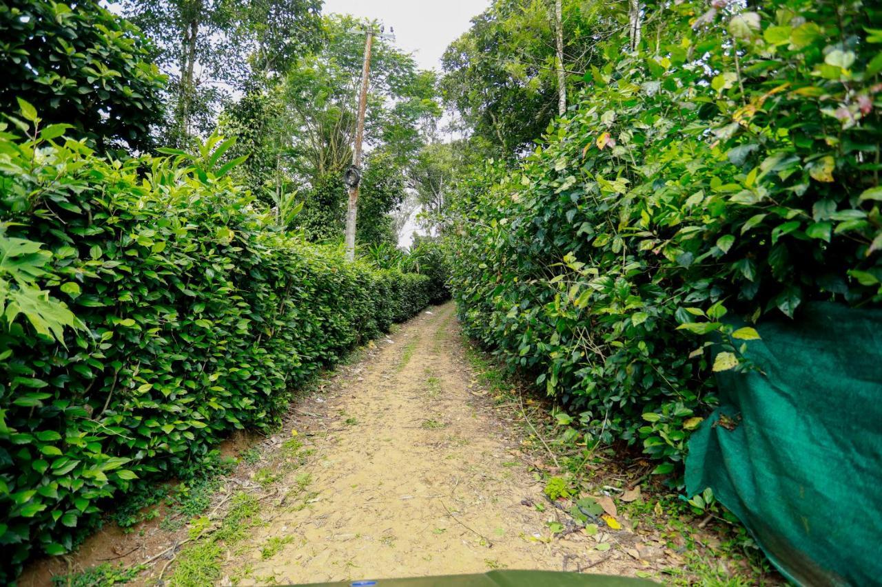 Thekkady Kalarickal Heritage Bungalow Vandanmedu Luaran gambar