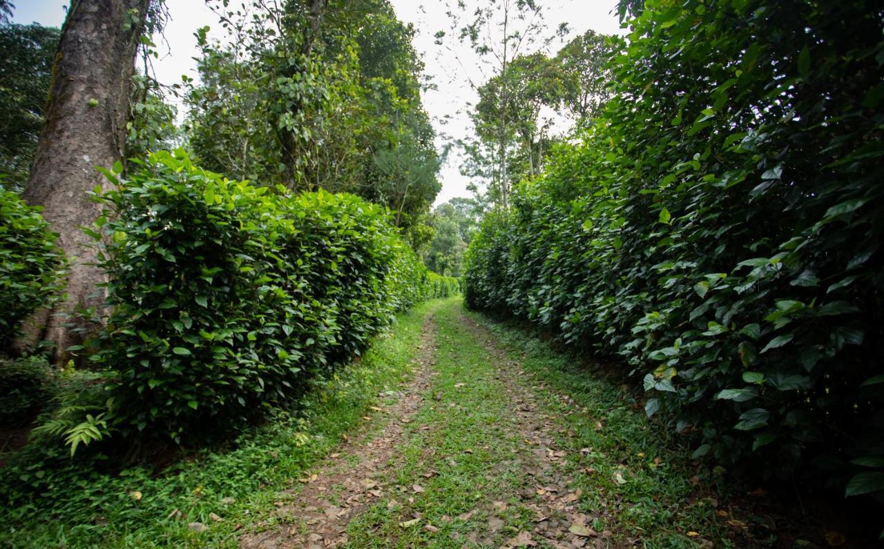 Thekkady Kalarickal Heritage Bungalow Vandanmedu Luaran gambar